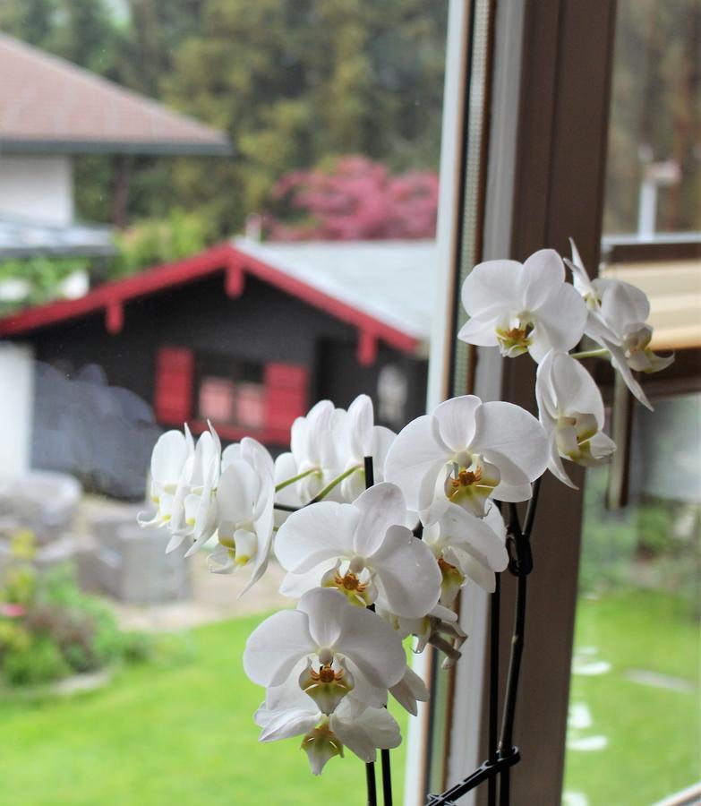 Gaestehaus Schmid Hotel Oberstaufen Luaran gambar